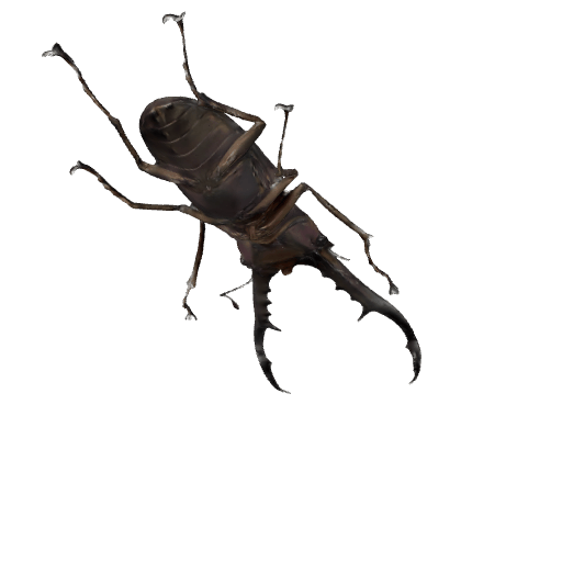 CMS美他力佛细身赤锹