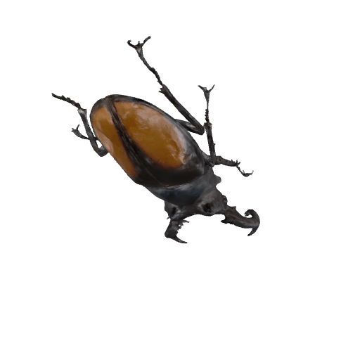 基什内尔叉角锹