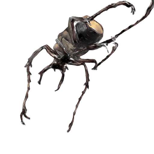 黄粉鹿角花金龟