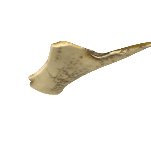 仿甲骨文雕刻古玩